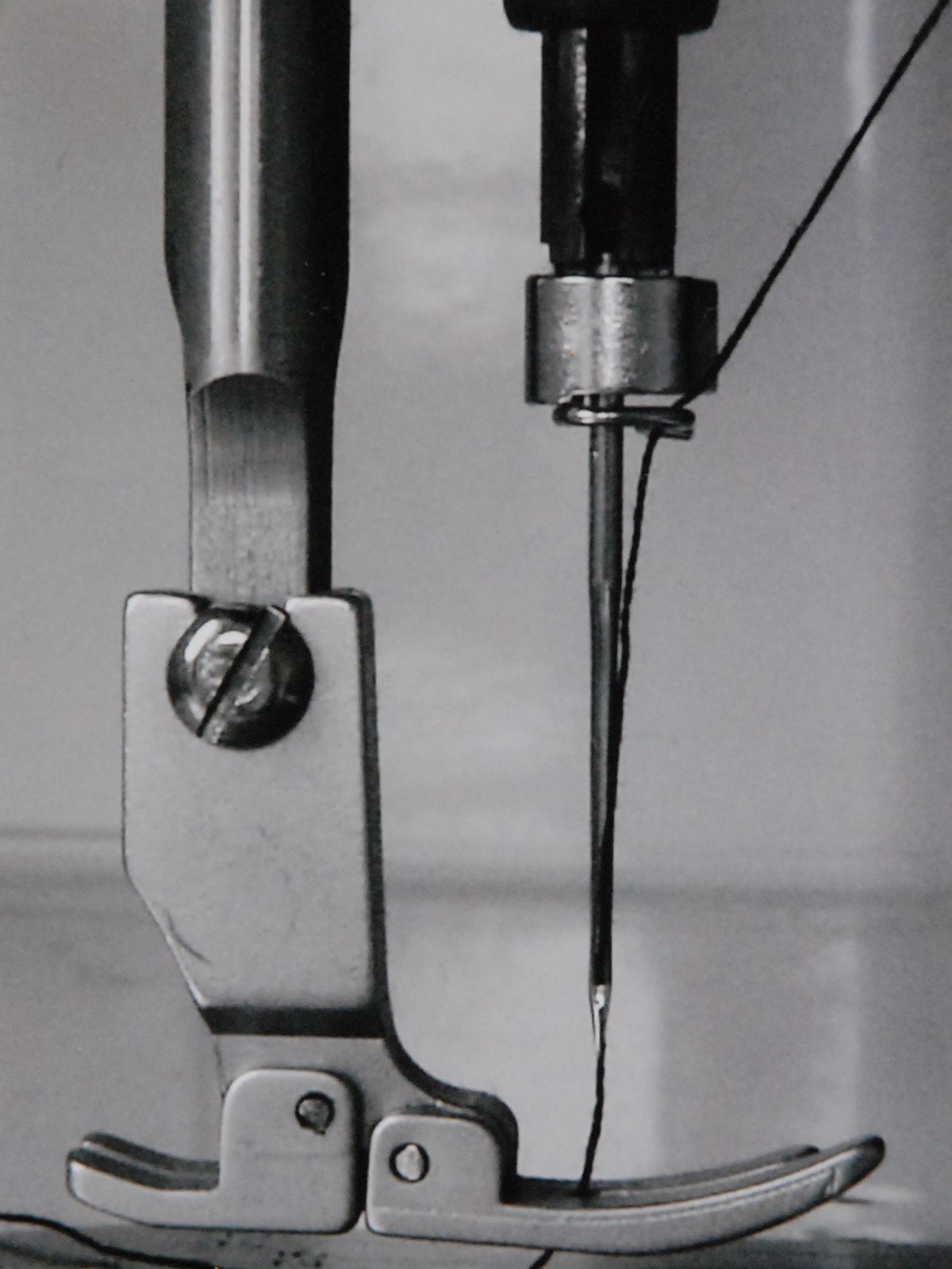 A close-up of a sewing machine needle and presser foot
