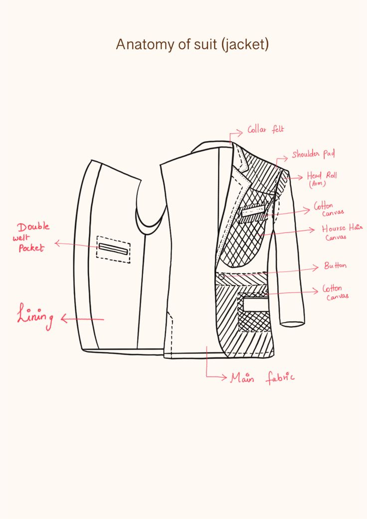 Illustrated anatomy of a suit jacket showing canvas, padding and lining